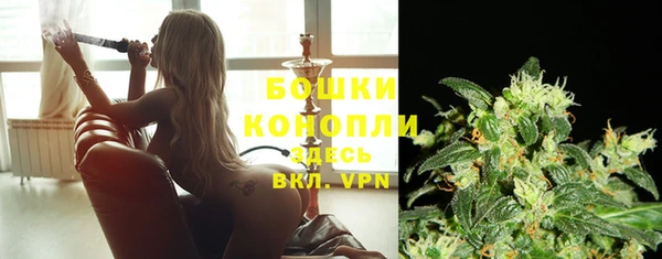 соль курить ск Горняк