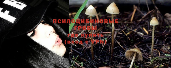 apvp Горнозаводск